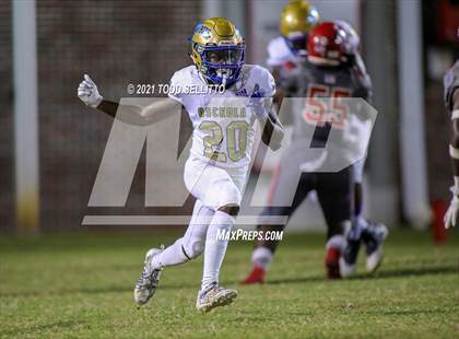 Thumbnail 3 in Osceola @ Manatee photogallery.