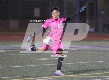Thumbnail 2 in Point Loma vs. Steele Canyon (CIF SDS Division 1 Final) photogallery.