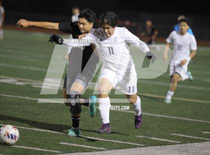 Thumbnail 2 in Point Loma vs. Steele Canyon (CIF SDS Division 1 Final) photogallery.