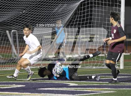 Thumbnail 2 in Point Loma vs. Steele Canyon (CIF SDS Division 1 Final) photogallery.