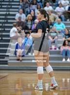 Photo from the gallery "Indian River @ Hickory"