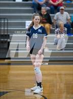 Photo from the gallery "Indian River @ Hickory"
