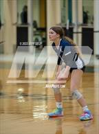 Photo from the gallery "Indian River @ Hickory"