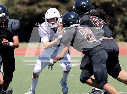 Thumbnail 1 in Piedmont @ Salesian College Preparatory photogallery.