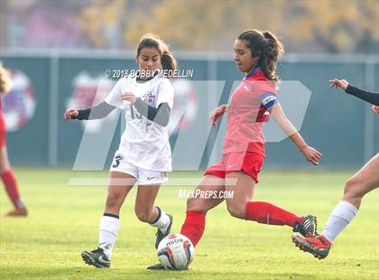 Thumbnail 1 in Buchanan vs. Sanger photogallery.