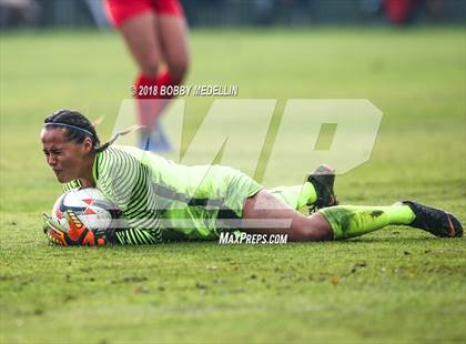 Thumbnail 1 in Buchanan vs. Sanger photogallery.