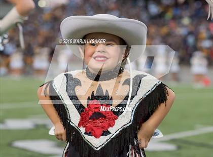 Thumbnail 1 in Langham Creek @ Cypress Ranch photogallery.