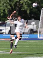 Photo from the gallery "Sacred Heart-Griffin vs. Quincy Notre Dame (IHSA 1A Sectional Final)"