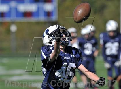 Thumbnail 3 in Barlow @ Immaculate photogallery.