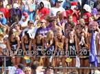 Photo from the gallery "South Pointe @ Northwestern"