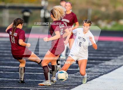 Thumbnail 3 in Seton Catholic @ Montesano (WIAA District 4 1A Championship) photogallery.