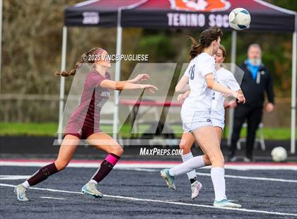Thumbnail 1 in Seton Catholic @ Montesano (WIAA District 4 1A Championship) photogallery.