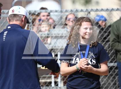Thumbnail 1 in Bemidji vs.Sartell-St. Stephen (MSHSL Class AAA Sectional Playoff) photogallery.