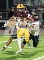 Photo from the gallery "Segerstrom @ Arlington"