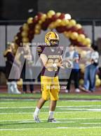 Photo from the gallery "Segerstrom @ Arlington"