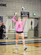 Photo from the gallery "Walden Grove @ Mica Mountain"