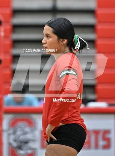 null - Photo 01
