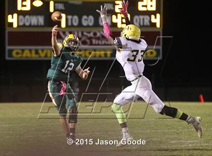 Thumbnail 3 in Hillsboro @ Gallatin photogallery.