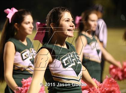 Thumbnail 3 in Hillsboro @ Gallatin photogallery.