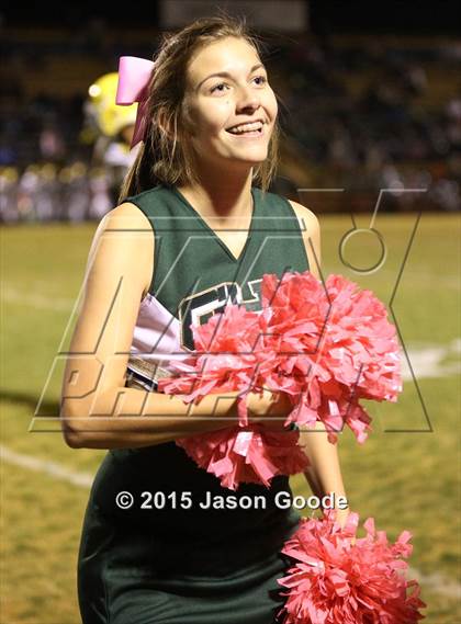 Thumbnail 3 in Hillsboro @ Gallatin photogallery.