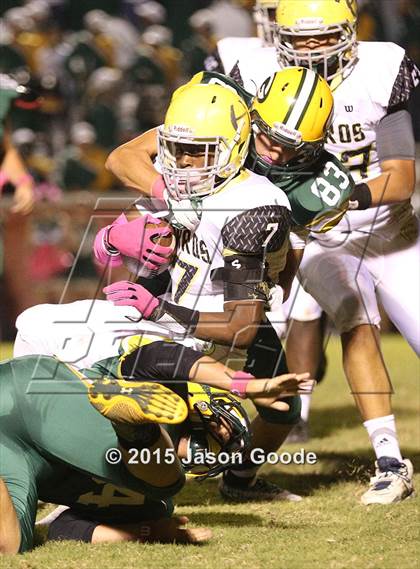 Thumbnail 3 in Hillsboro @ Gallatin photogallery.