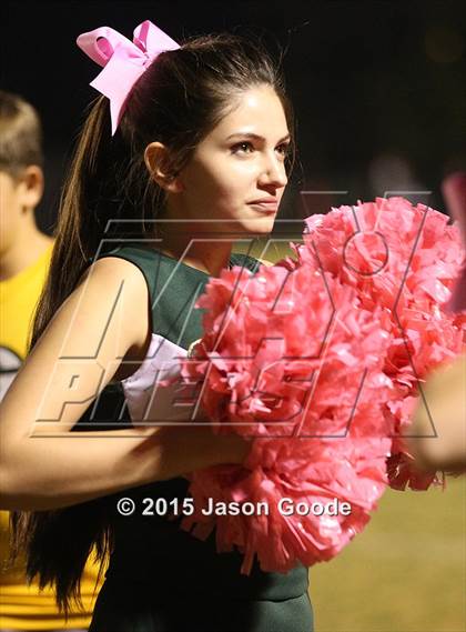 Thumbnail 2 in Hillsboro @ Gallatin photogallery.