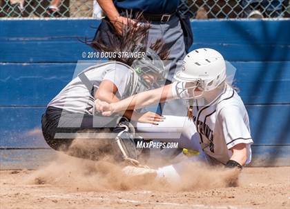 Thumbnail 1 in CIF-CCS Open Division Championship (Archbishop Mitty vs. Saint Francis) photogallery.