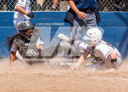 Thumbnail 1 in CIF-CCS Open Division Championship (Archbishop Mitty vs. Saint Francis) photogallery.