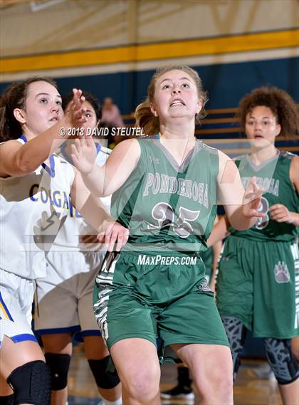 Thumbnail 2 in Ponderosa @ Del Campo photogallery.