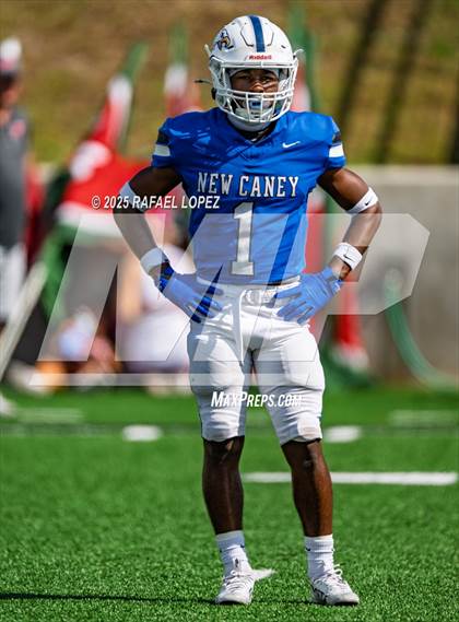 Thumbnail 3 in The Woodlands @ New Caney photogallery.