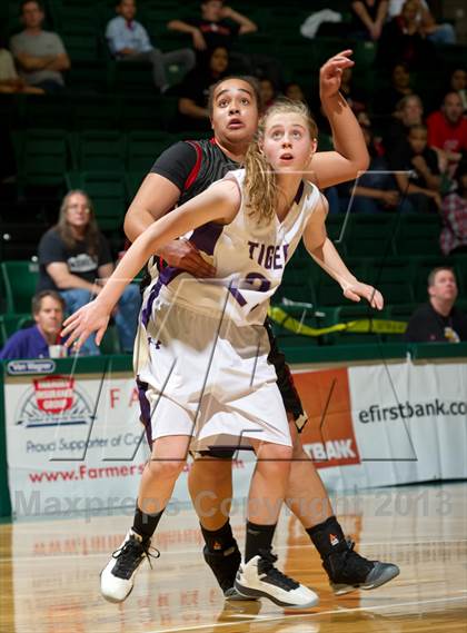 Thumbnail 1 in Denver Science & Tech Stapleton vs. Holy Family (CHSAA 3A Final Four) photogallery.