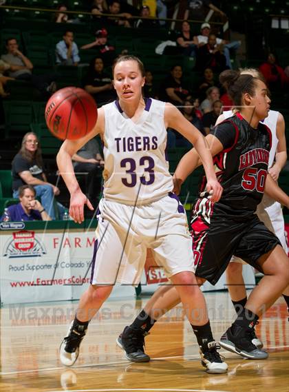 Thumbnail 2 in Denver Science & Tech Stapleton vs. Holy Family (CHSAA 3A Final Four) photogallery.