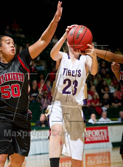 Thumbnail 2 in Denver Science & Tech Stapleton vs. Holy Family (CHSAA 3A Final Four) photogallery.
