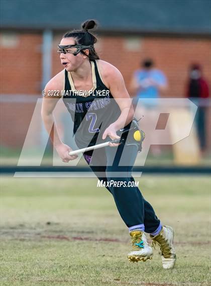 Thumbnail 3 in Holly Springs @ Terry Sanford photogallery.