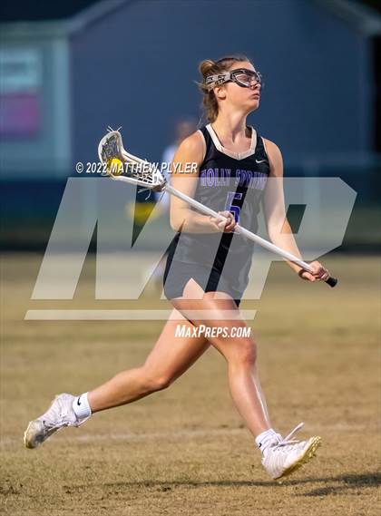 Thumbnail 1 in Holly Springs @ Terry Sanford photogallery.