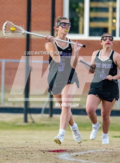 Thumbnail 1 in Holly Springs @ Terry Sanford photogallery.