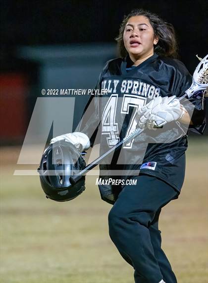 Thumbnail 3 in Holly Springs @ Terry Sanford photogallery.
