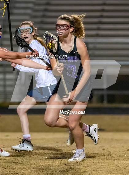 Thumbnail 1 in Holly Springs @ Terry Sanford photogallery.