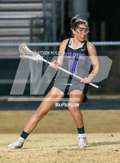 Thumbnail 2 in Holly Springs @ Terry Sanford photogallery.