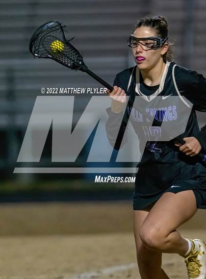 Thumbnail 1 in Holly Springs @ Terry Sanford photogallery.