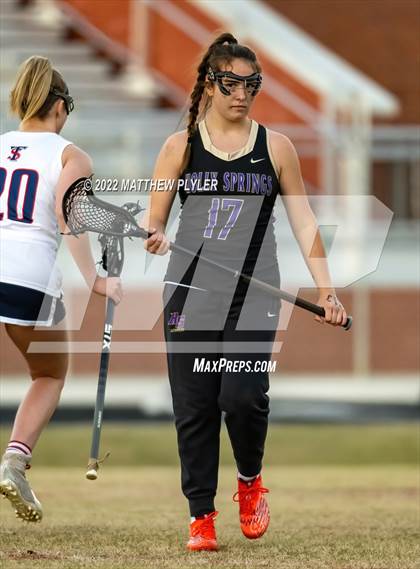 Thumbnail 3 in Holly Springs @ Terry Sanford photogallery.