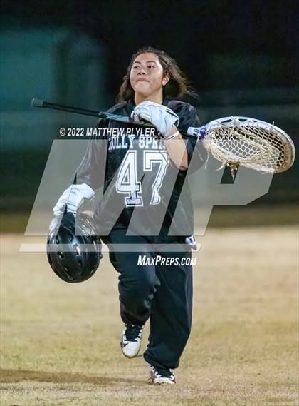 Thumbnail 3 in Holly Springs @ Terry Sanford photogallery.