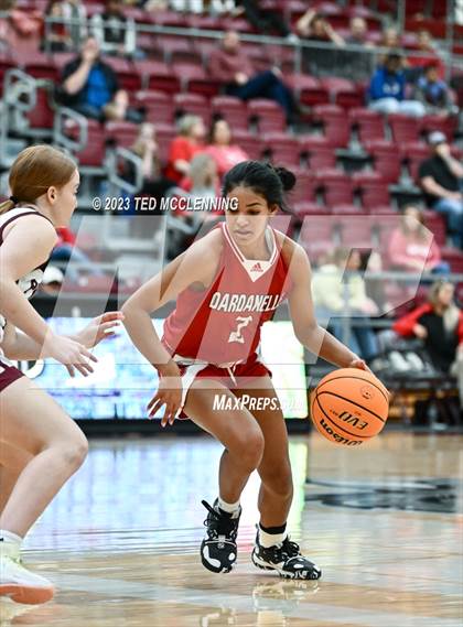 Thumbnail 1 in Dardanelle vs Gentry (AAA 4A-North Regional first round) photogallery.
