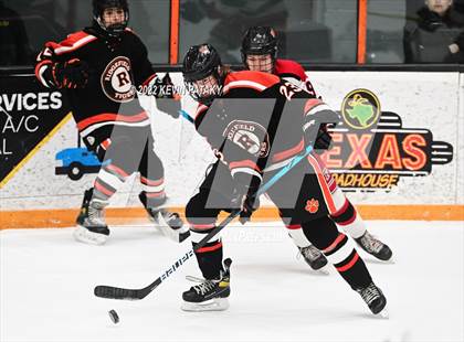 Thumbnail 2 in Ridgefield vs. Fairfield Warde/Ludlowe (FCIAC D1 Final) photogallery.