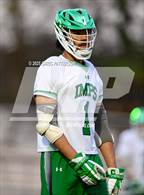 Photo from the gallery "Athens Drive @ Cary"