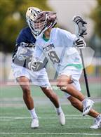 Photo from the gallery "Notre Dame (SO) @ Crespi"