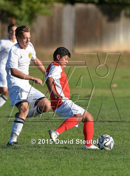 Thumbnail 1 in Cordova @ Rio Americano (CIF SJS D3 Playoffs) photogallery.