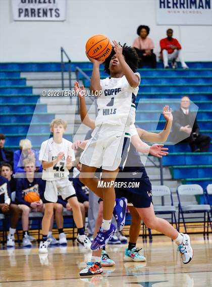 Thumbnail 2 in Woods Cross @ Copper Hills photogallery.