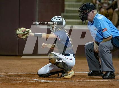 Thumbnail 2 in Perry @ Basha (AIA 6A Final) photogallery.
