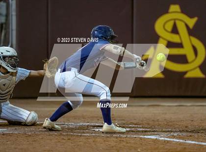 Thumbnail 1 in Perry @ Basha (AIA 6A Final) photogallery.